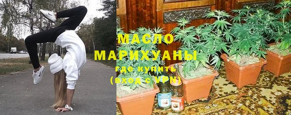 молекула духа Арсеньев