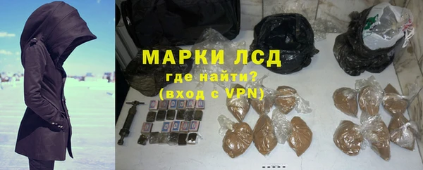 молекула духа Арсеньев
