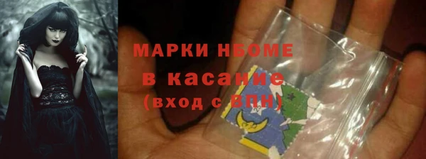 молекула духа Арсеньев