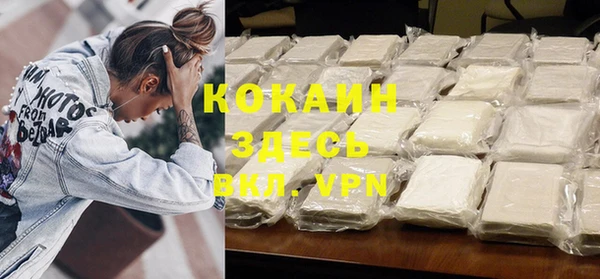 молекула духа Арсеньев