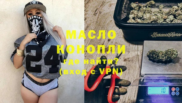 молекула духа Арсеньев