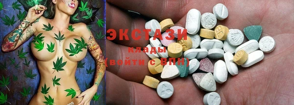 молекула духа Арсеньев