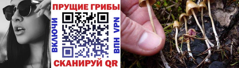 Галлюциногенные грибы MAGIC MUSHROOMS  Сольвычегодск 